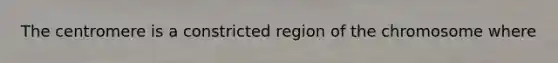 The centromere is a constricted region of the chromosome where