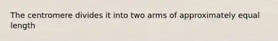 The centromere divides it into two arms of approximately equal length