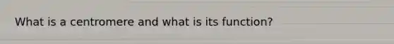 What is a centromere and what is its function?