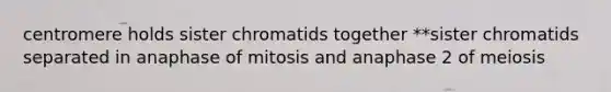 centromere holds sister chromatids together **sister chromatids separated in anaphase of mitosis and anaphase 2 of meiosis