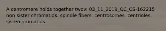 A centromere holds together twov: 03_11_2019_QC_CS-162215 non-sister chromatids. spindle fibers. centrosomes. centrioles. sisterchromatids.