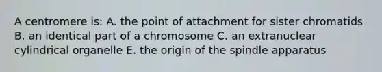 A centromere is: A. the point of attachment for sister chromatids B. an identical part of a chromosome C. an extranuclear cylindrical organelle E. the origin of the spindle apparatus