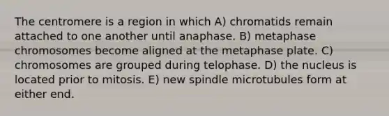 The centromere is a region in which A) chromatids remain attached to one another until anaphase. B) metaphase chromosomes become aligned at the metaphase plate. C) chromosomes are grouped during telophase. D) the nucleus is located prior to mitosis. E) new spindle microtubules form at either end.