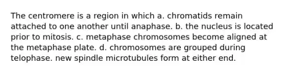 The centromere is a region in which a. chromatids remain attached to one another until anaphase. b. the nucleus is located prior to mitosis. c. metaphase chromosomes become aligned at the metaphase plate. d. chromosomes are grouped during telophase. new spindle microtubules form at either end.