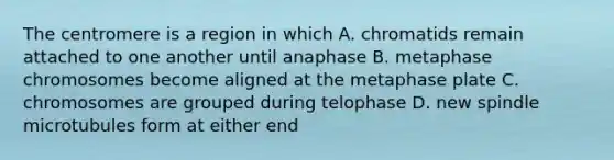 The centromere is a region in which A. chromatids remain attached to one another until anaphase B. metaphase chromosomes become aligned at the metaphase plate C. chromosomes are grouped during telophase D. new spindle microtubules form at either end