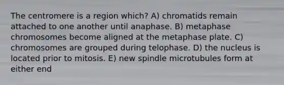 The centromere is a region which? A) chromatids remain attached to one another until anaphase. B) metaphase chromosomes become aligned at the metaphase plate. C) chromosomes are grouped during telophase. D) the nucleus is located prior to mitosis. E) new spindle microtubules form at either end