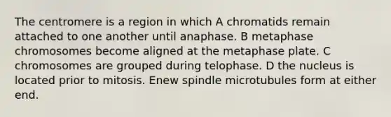 The centromere is a region in which A chromatids remain attached to one another until anaphase. B metaphase chromosomes become aligned at the metaphase plate. C chromosomes are grouped during telophase. D the nucleus is located prior to mitosis. Enew spindle microtubules form at either end.