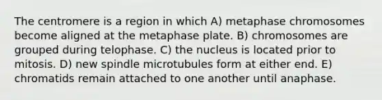 The centromere is a region in which A) metaphase chromosomes become aligned at the metaphase plate. B) chromosomes are grouped during telophase. C) the nucleus is located prior to mitosis. D) new spindle microtubules form at either end. E) chromatids remain attached to one another until anaphase.