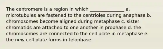 The centromere is a region in which _______________ a. microtubules are fastened to the centrioles during anaphase b. chromosomes become aligned during metaphase c. sister chromatids are attached to one another in prophase d. the chromosomes are connected to the cell plate in metaphase e. the new cell plate forms in telophase