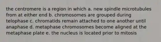 the centromere is a region in which a. new spindle microtubules from at either end b. chromosomes are grouped during telophase c. chromatids remain attached to one another until anaphase d. metaphase chromosomes become aligned at the metaphase plate e. the nucleus is located prior to mitosis