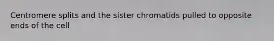 Centromere splits and the sister chromatids pulled to opposite ends of the cell