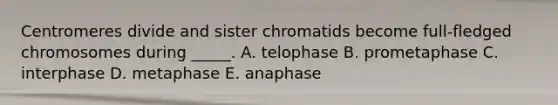 Centromeres divide and sister chromatids become full-fledged chromosomes during _____. A. telophase B. prometaphase C. interphase D. metaphase E. anaphase