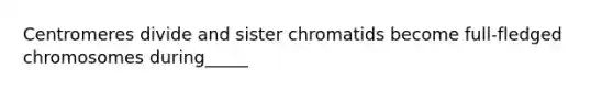 Centromeres divide and sister chromatids become full-fledged chromosomes during_____