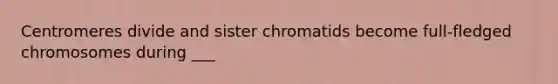 Centromeres divide and sister chromatids become full-fledged chromosomes during ___