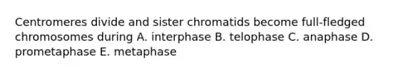 Centromeres divide and sister chromatids become full-fledged chromosomes during A. interphase B. telophase C. anaphase D. prometaphase E. metaphase