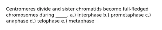 Centromeres divide and sister chromatids become full-fledged chromosomes during _____. a.) interphase b.) prometaphase c.) anaphase d.) telophase e.) metaphase