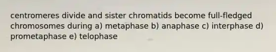 centromeres divide and sister chromatids become full-fledged chromosomes during a) metaphase b) anaphase c) interphase d) prometaphase e) telophase