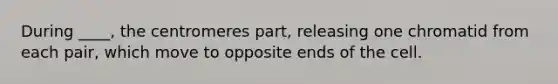 During ____, the centromeres part, releasing one chromatid from each pair, which move to opposite ends of the cell.