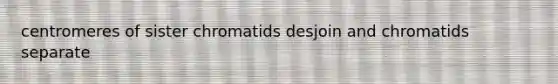 centromeres of sister chromatids desjoin and chromatids separate