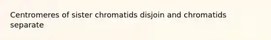 Centromeres of sister chromatids disjoin and chromatids separate