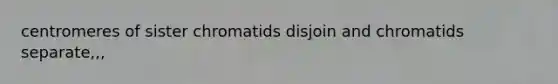 centromeres of sister chromatids disjoin and chromatids separate,,,