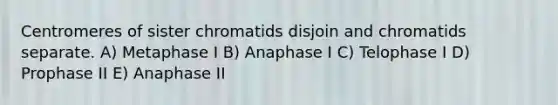 Centromeres of sister chromatids disjoin and chromatids separate. A) Metaphase I B) Anaphase I C) Telophase I D) Prophase II E) Anaphase II