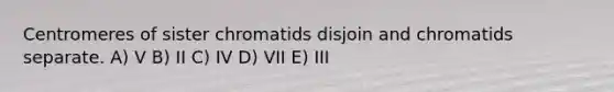 Centromeres of sister chromatids disjoin and chromatids separate. A) V B) II C) IV D) VII E) III