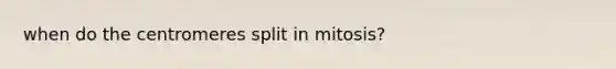 when do the centromeres split in mitosis?