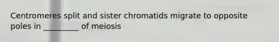 Centromeres split and sister chromatids migrate to opposite poles in _________ of meiosis