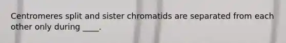 Centromeres split and sister chromatids are separated from each other only during ____.