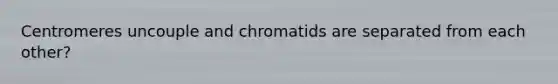 Centromeres uncouple and chromatids are separated from each other?