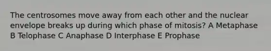 The centrosomes move away from each other and the nuclear envelope breaks up during which phase of mitosis? A Metaphase B Telophase C Anaphase D Interphase E Prophase