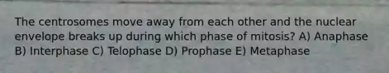 The centrosomes move away from each other and the nuclear envelope breaks up during which phase of mitosis? A) Anaphase B) Interphase C) Telophase D) Prophase E) Metaphase