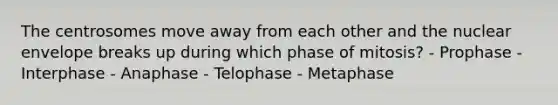 The centrosomes move away from each other and the nuclear envelope breaks up during which phase of mitosis? - Prophase - Interphase - Anaphase - Telophase - Metaphase