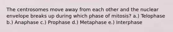 The centrosomes move away from each other and the nuclear envelope breaks up during which phase of mitosis? a.) Telophase b.) Anaphase c.) Prophase d.) Metaphase e.) Interphase