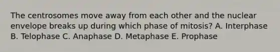 The centrosomes move away from each other and the nuclear envelope breaks up during which phase of mitosis? A. Interphase B. Telophase C. Anaphase D. Metaphase E. Prophase