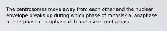 The centrosomes move away from each other and the nuclear envelope breaks up during which phase of mitosis? a. anaphase b. interphase c. prophase d. telophase e. metaphase