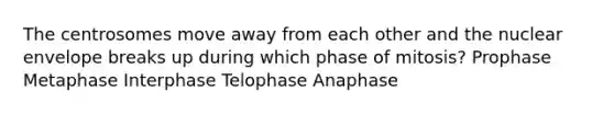 The centrosomes move away from each other and the nuclear envelope breaks up during which phase of mitosis? Prophase Metaphase Interphase Telophase Anaphase