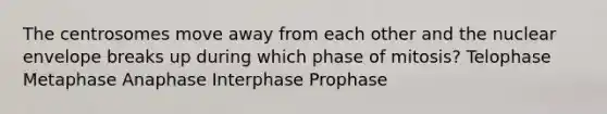 The centrosomes move away from each other and the nuclear envelope breaks up during which phase of mitosis? Telophase Metaphase Anaphase Interphase Prophase