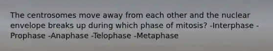 The centrosomes move away from each other and the nuclear envelope breaks up during which phase of mitosis? -Interphase -Prophase -Anaphase -Telophase -Metaphase