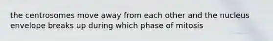 the centrosomes move away from each other and the nucleus envelope breaks up during which phase of mitosis