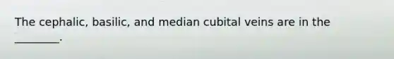 The cephalic, basilic, and median cubital veins are in the ________.