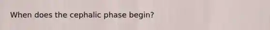 When does the cephalic phase begin?