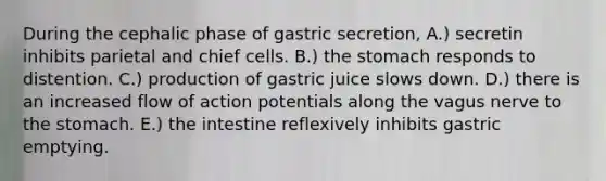 During the cephalic phase of gastric secretion, A.) secretin inhibits parietal and chief cells. B.) the stomach responds to distention. C.) production of gastric juice slows down. D.) there is an increased flow of action potentials along the vagus nerve to the stomach. E.) the intestine reflexively inhibits gastric emptying.