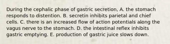 During the cephalic phase of gastric secretion, A. the stomach responds to distention. B. secretin inhibits parietal and chief cells. C. there is an increased flow of action potentials along the vagus nerve to the stomach. D. the intestinal reflex inhibits gastric emptying. E. production of gastric juice slows down.