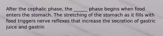 After the cephalic phase, the ______ phase begins when food enters the stomach. The stretching of the stomach as it fills with food triggers nerve reflexes that increase the secretion of gastric juice and gastrin