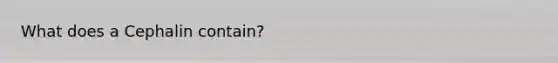 What does a Cephalin contain?