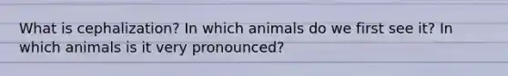 What is cephalization? In which animals do we first see it? In which animals is it very pronounced?