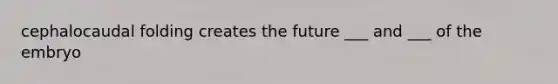 cephalocaudal folding creates the future ___ and ___ of the embryo
