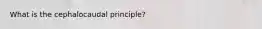 What is the cephalocaudal principle?